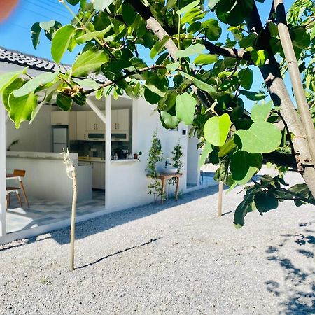 Airport Blue Eye Apartment Dalaman Best Location Also Suitable For Day Rentals Ideal For Air Travelers, 5 Km Close To Airport エクステリア 写真